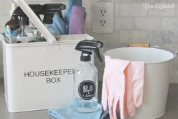 Everything you need to stock a portable home cleaning kit. All the basic green cleaning supplies to get you started for spring cleaning!